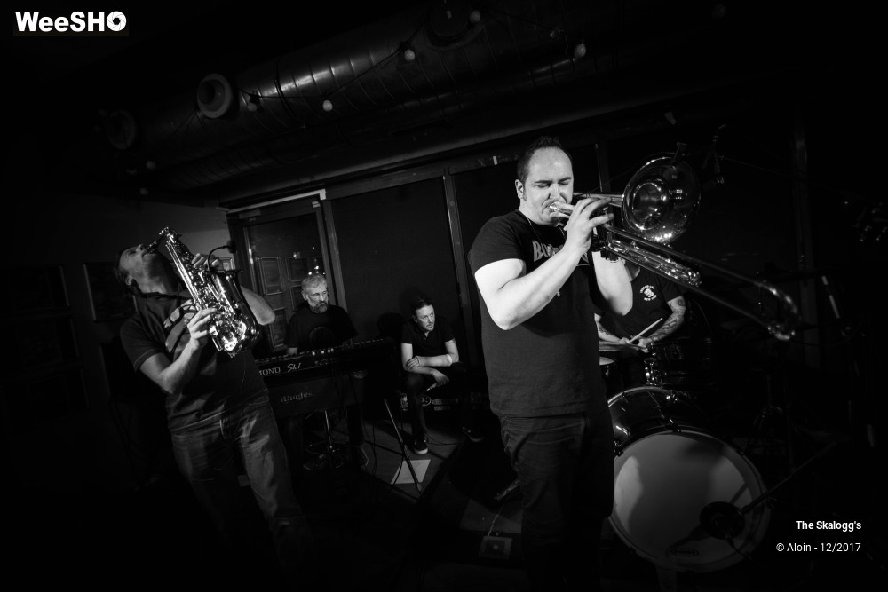 28/30 photos du spectacle The Skalogg's