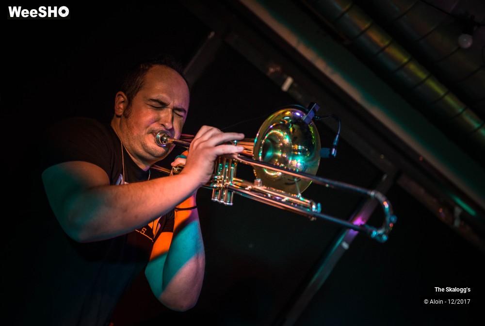 30/30 photos du spectacle The Skalogg's