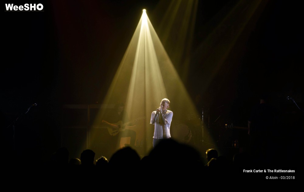 11/11 photos du spectacle Frank Carter & the Rattlesnakes