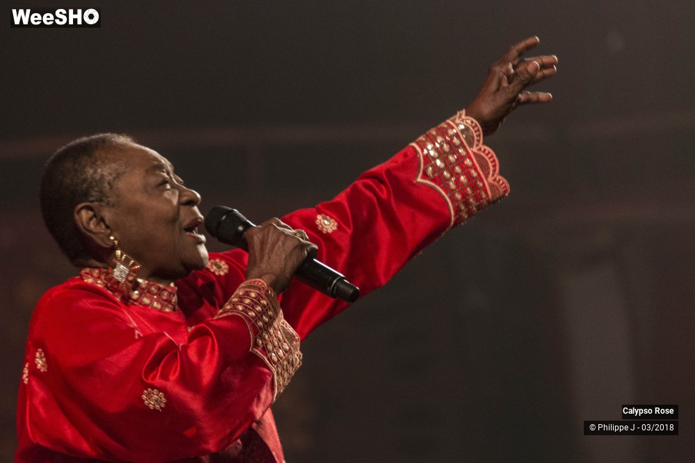 4/10 photos du spectacle Calypso Rose