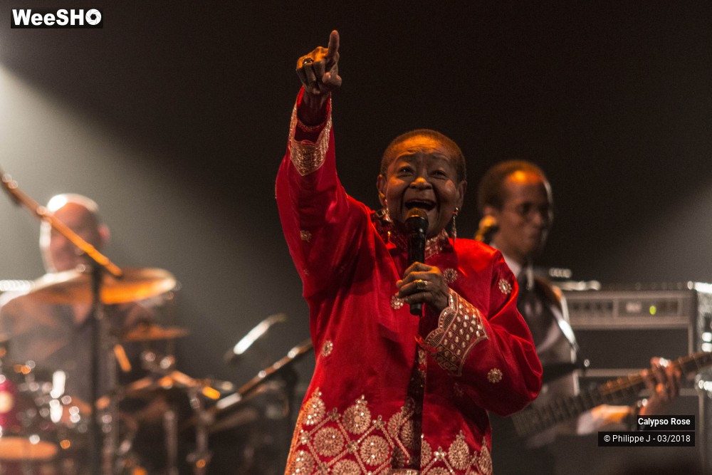 6/10 photos du spectacle Calypso Rose