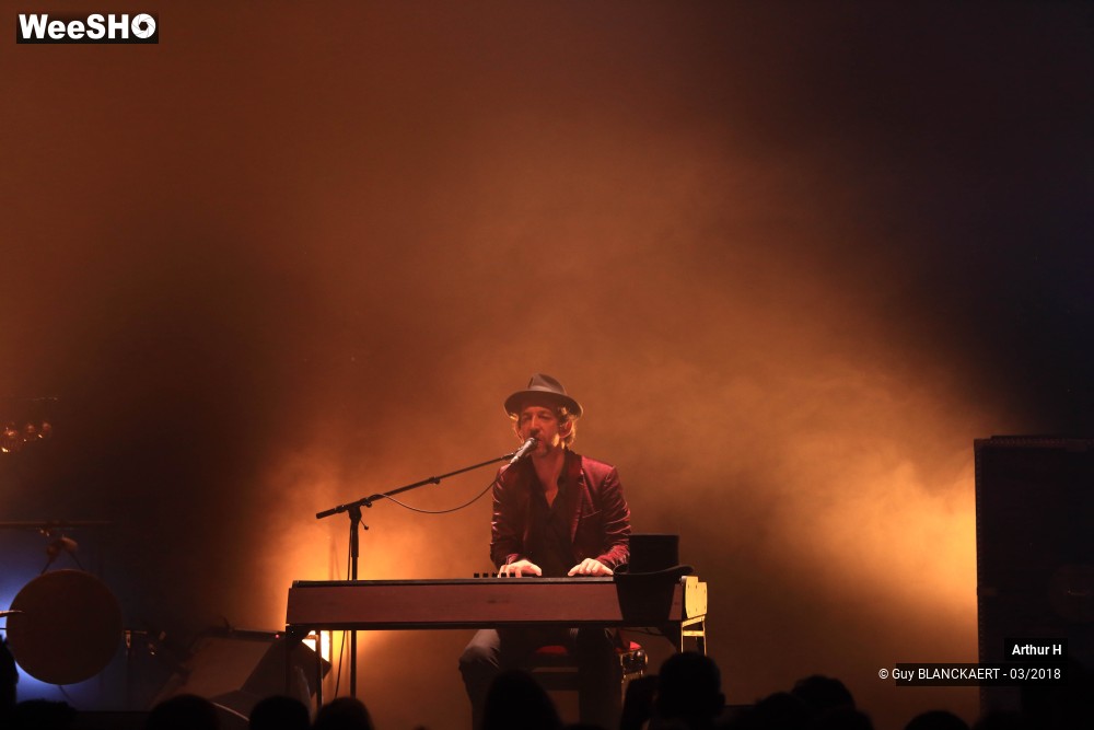 3/6 photos du spectacle Arthur H