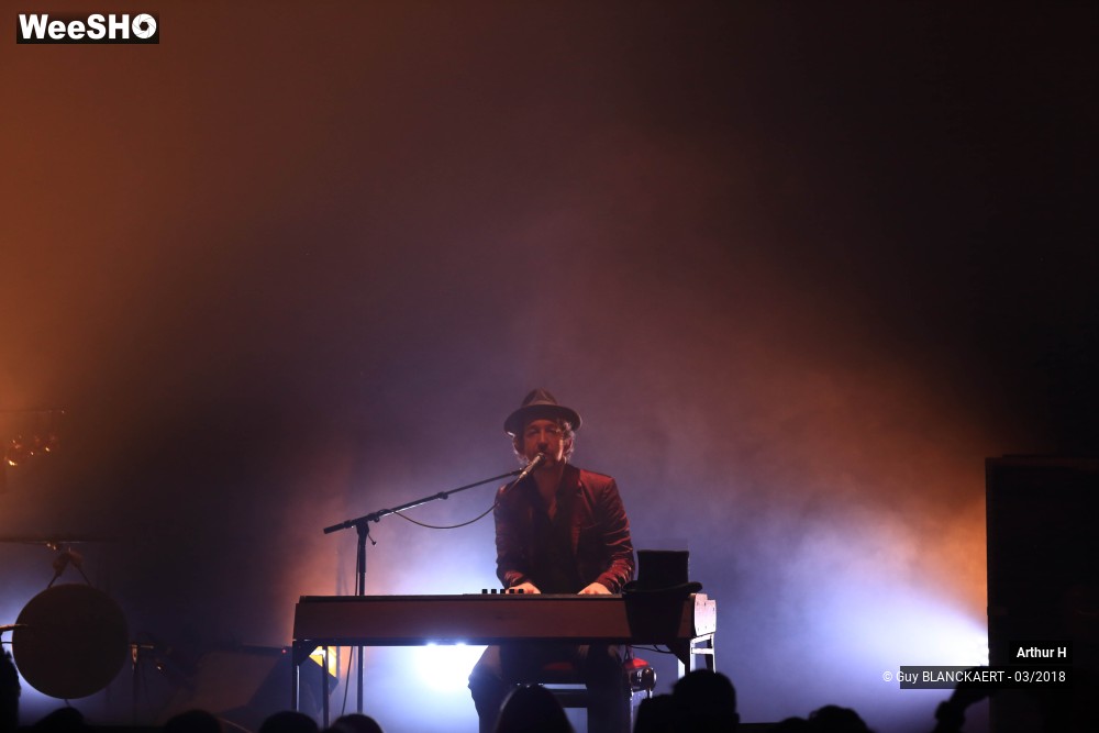 4/6 photos du spectacle Arthur H