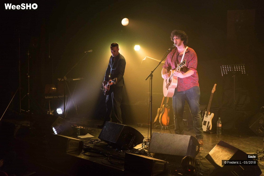 16/69 photos du spectacle Saule