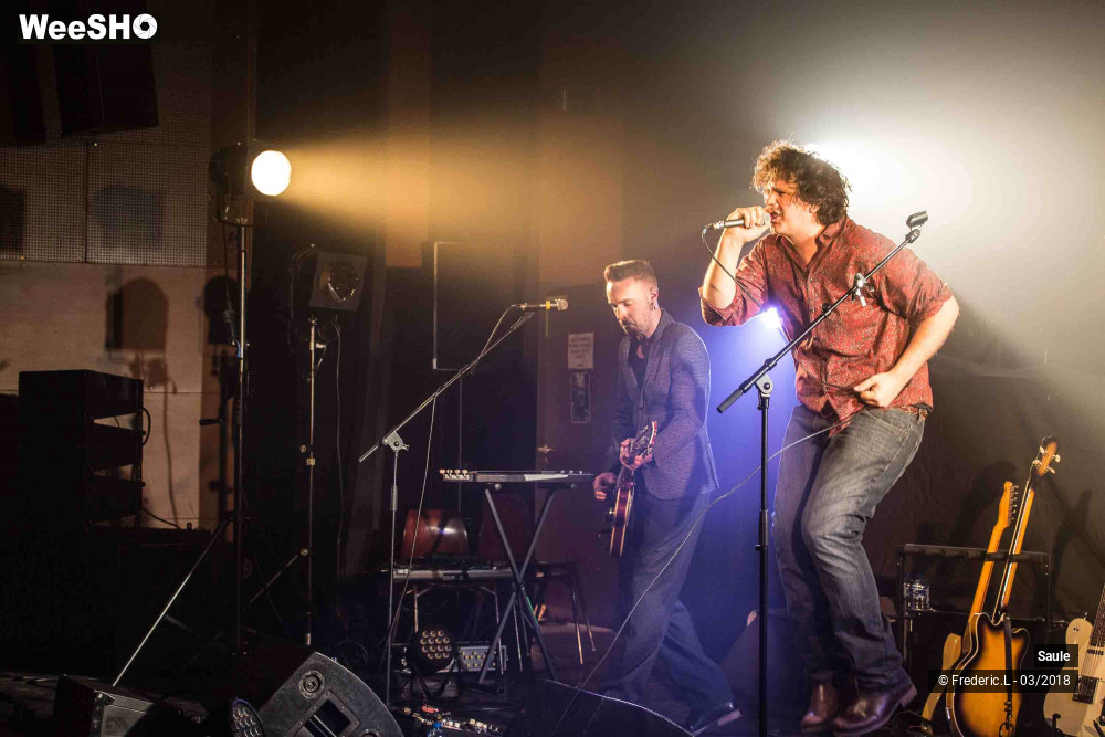 20/69 photos du spectacle Saule