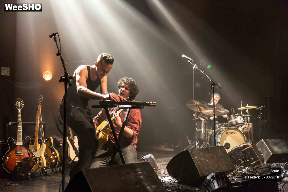 25/69 photos du spectacle Saule