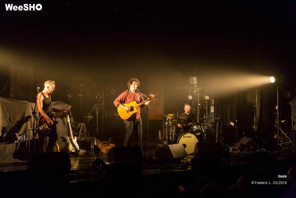 27/69 photos du spectacle Saule