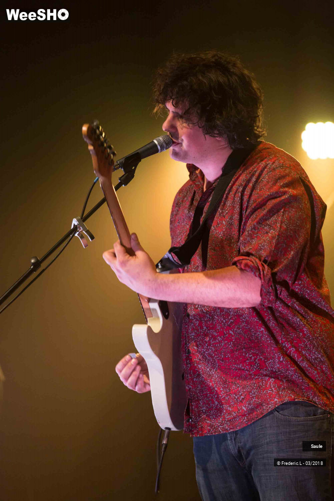 32/69 photos du spectacle Saule