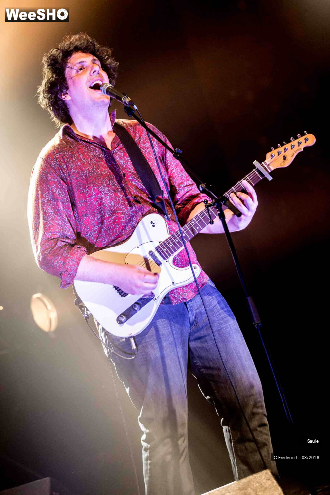 42/69 photos du spectacle Saule