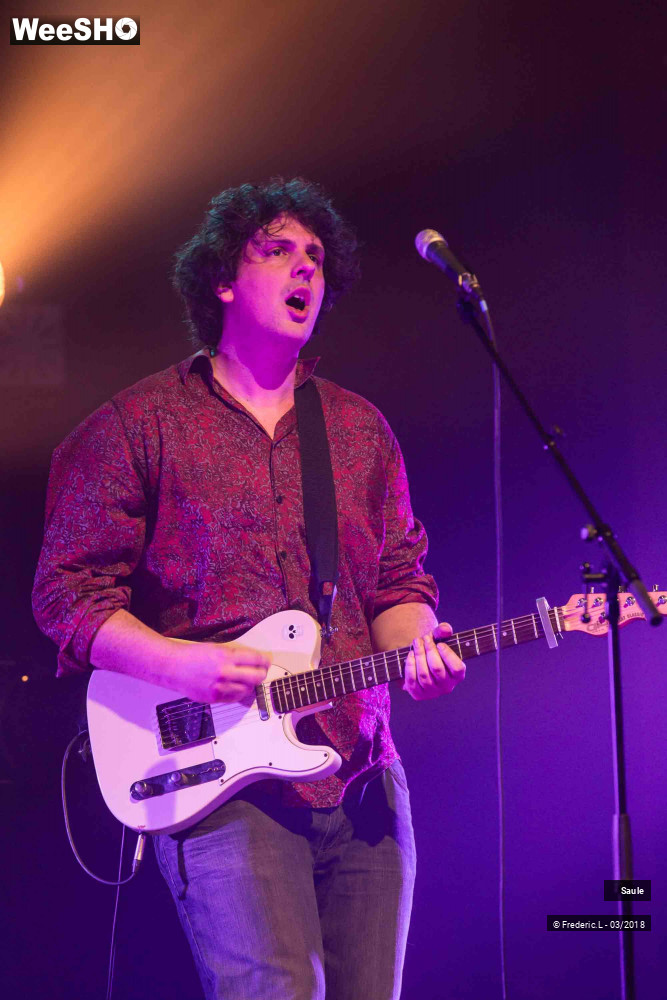 43/69 photos du spectacle Saule