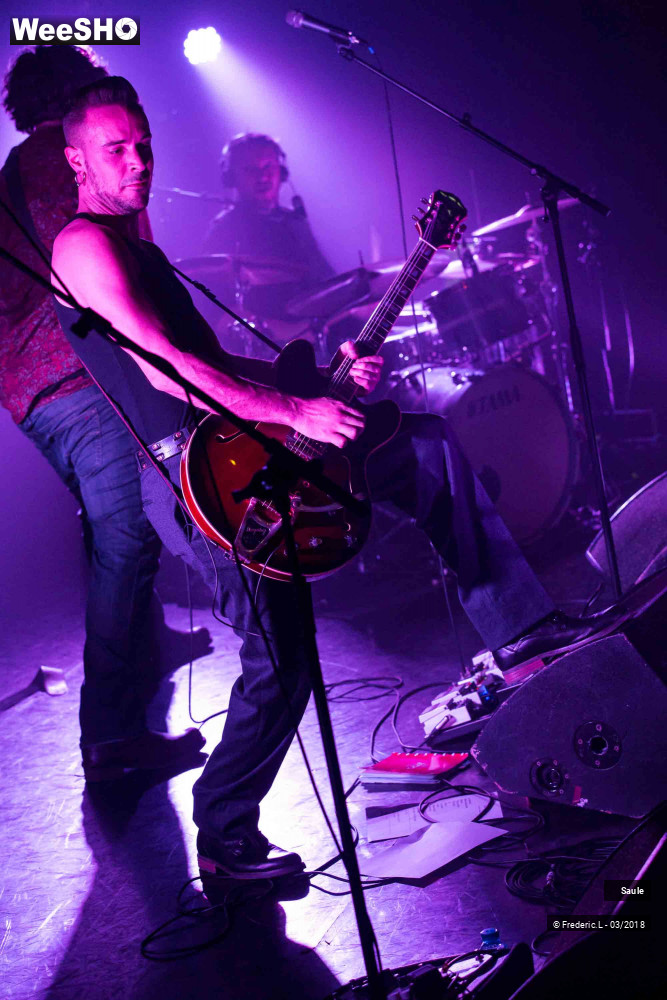 44/69 photos du spectacle Saule