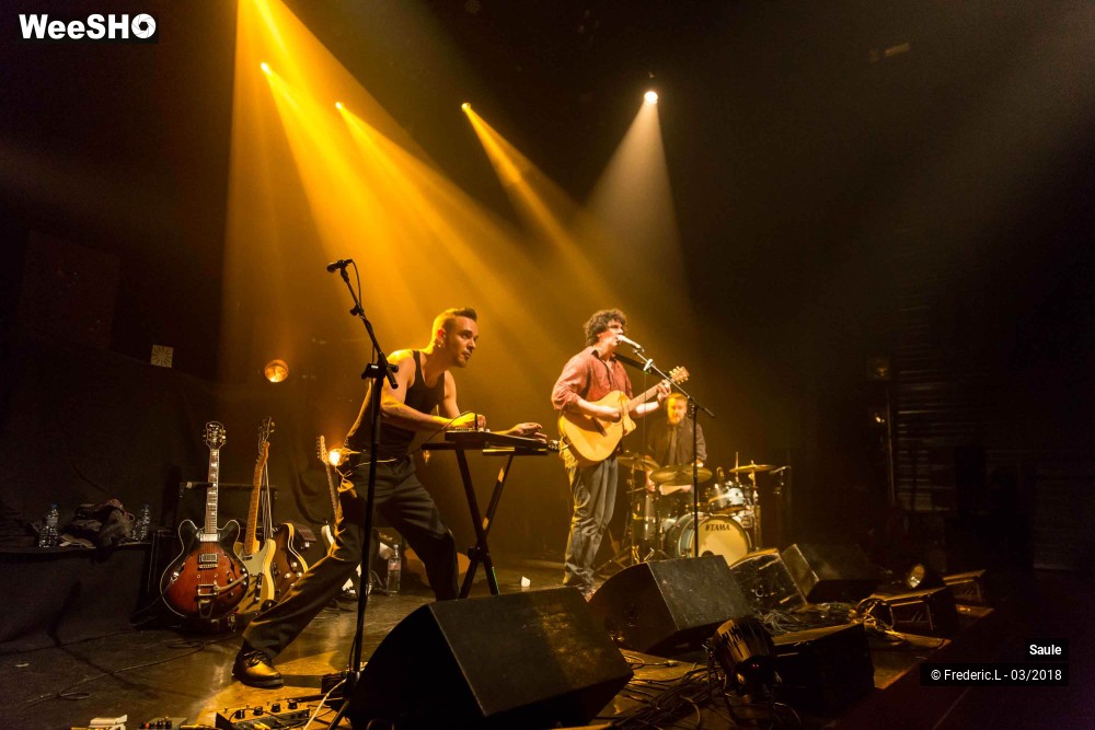 54/69 photos du spectacle Saule