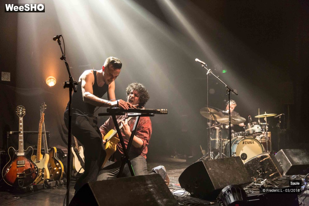 58/69 photos du spectacle Saule