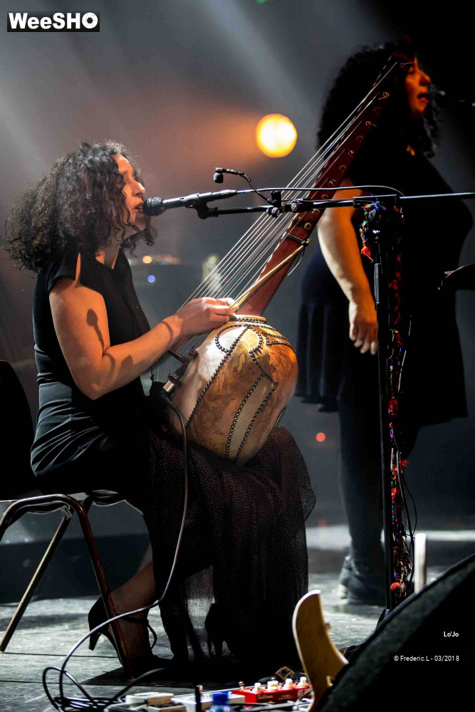 33/67 photos du spectacle Lo'Jo