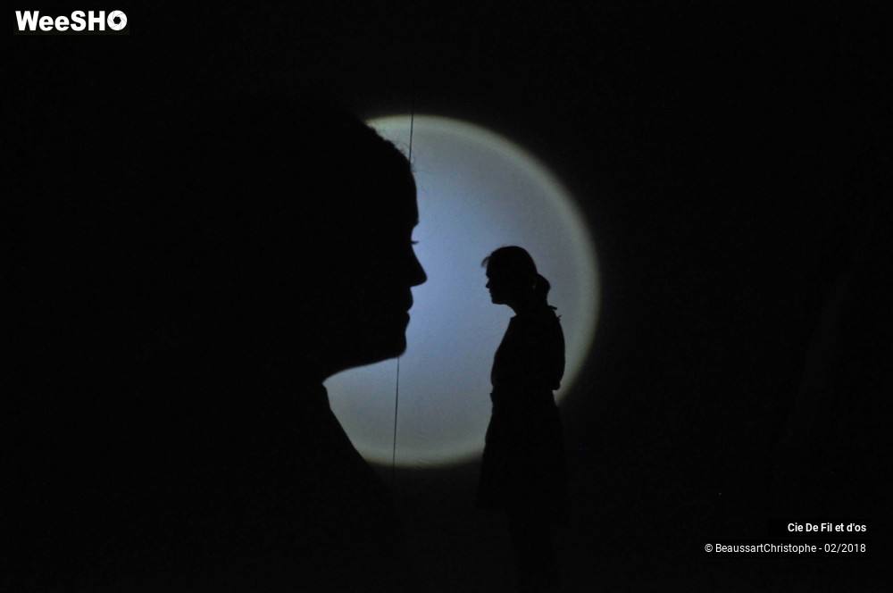 15/35 photos du spectacle L'Os du Coeur 