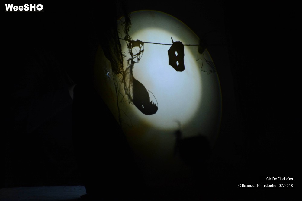 21/35 photos du spectacle L'Os du Coeur 