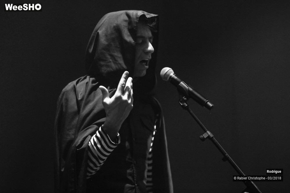 5/39 photos du spectacle Rodrigue