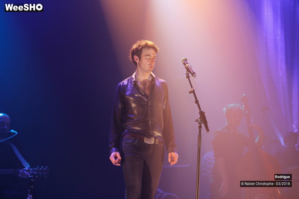 10/39 photos du spectacle Rodrigue