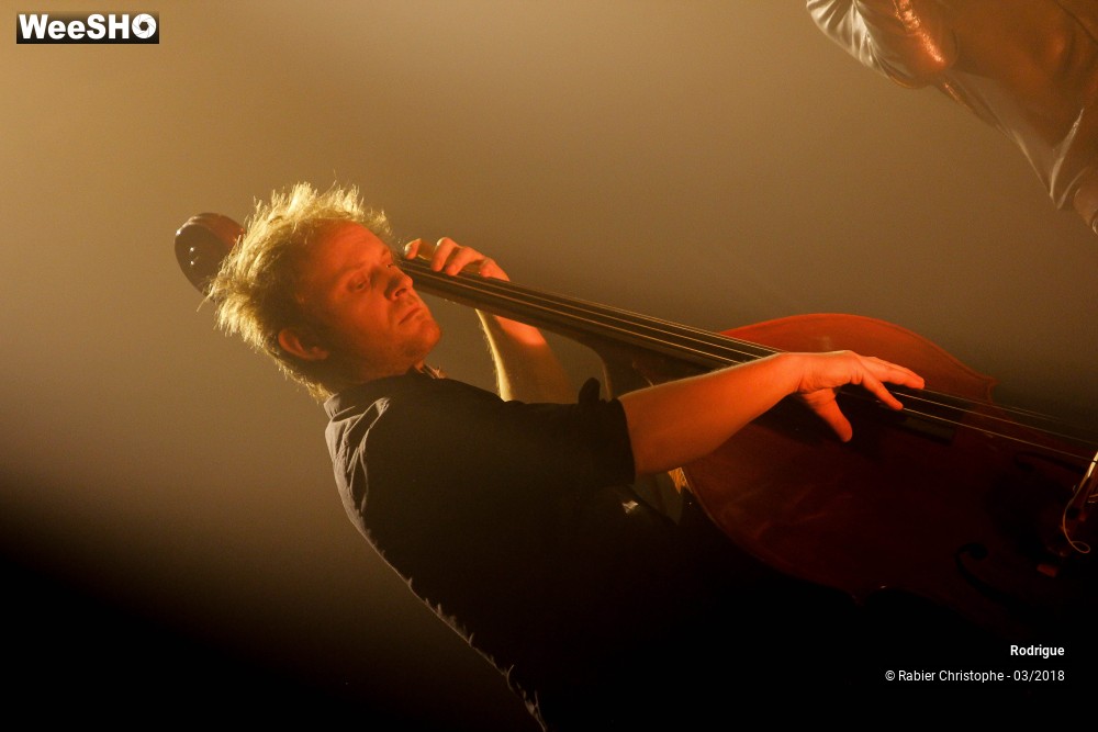 11/39 photos du spectacle Rodrigue