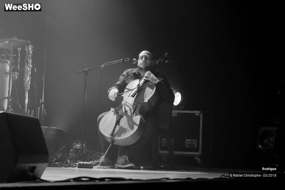 16/39 photos du spectacle Rodrigue