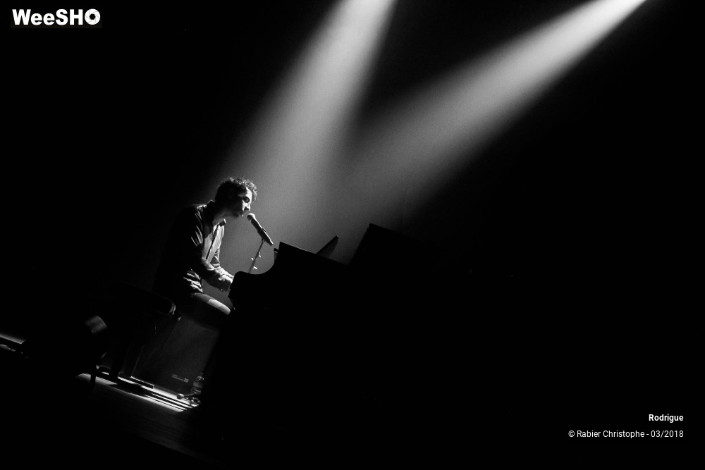 17/39 photos du spectacle Rodrigue