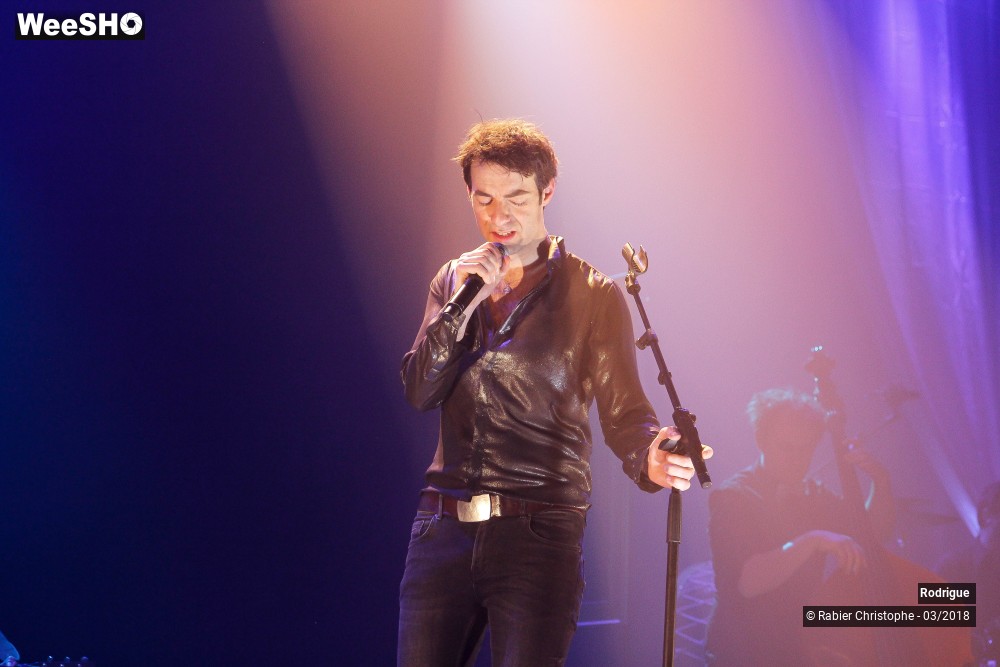 21/39 photos du spectacle Rodrigue