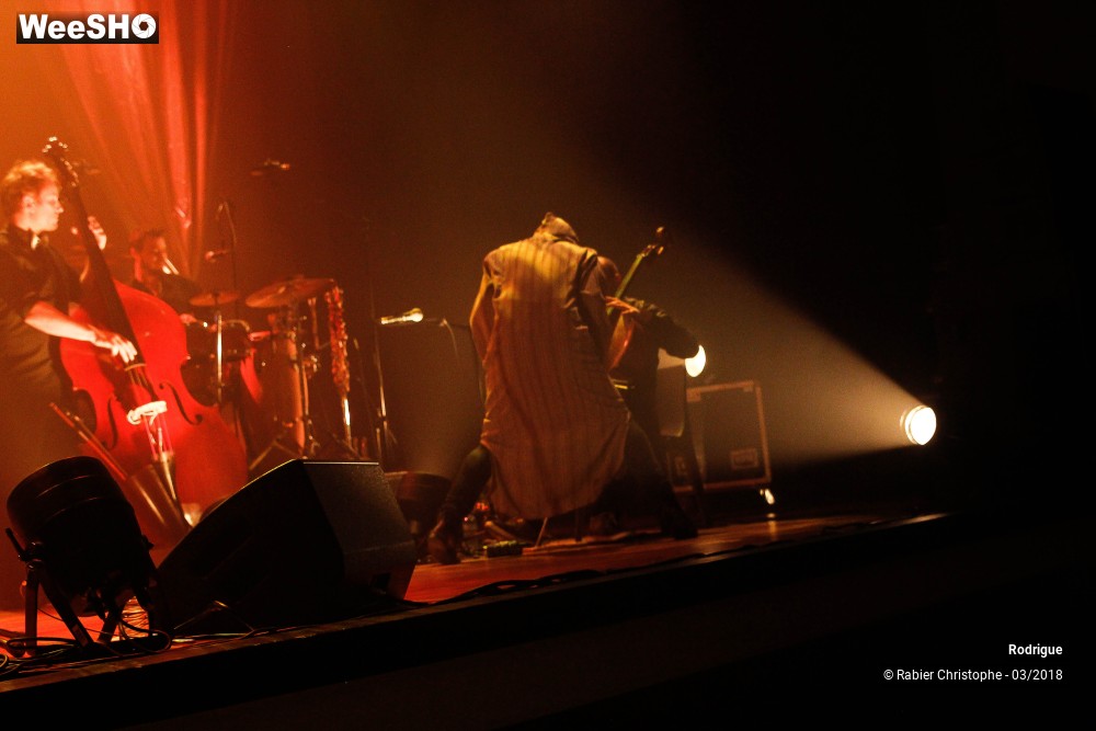 22/39 photos du spectacle Rodrigue