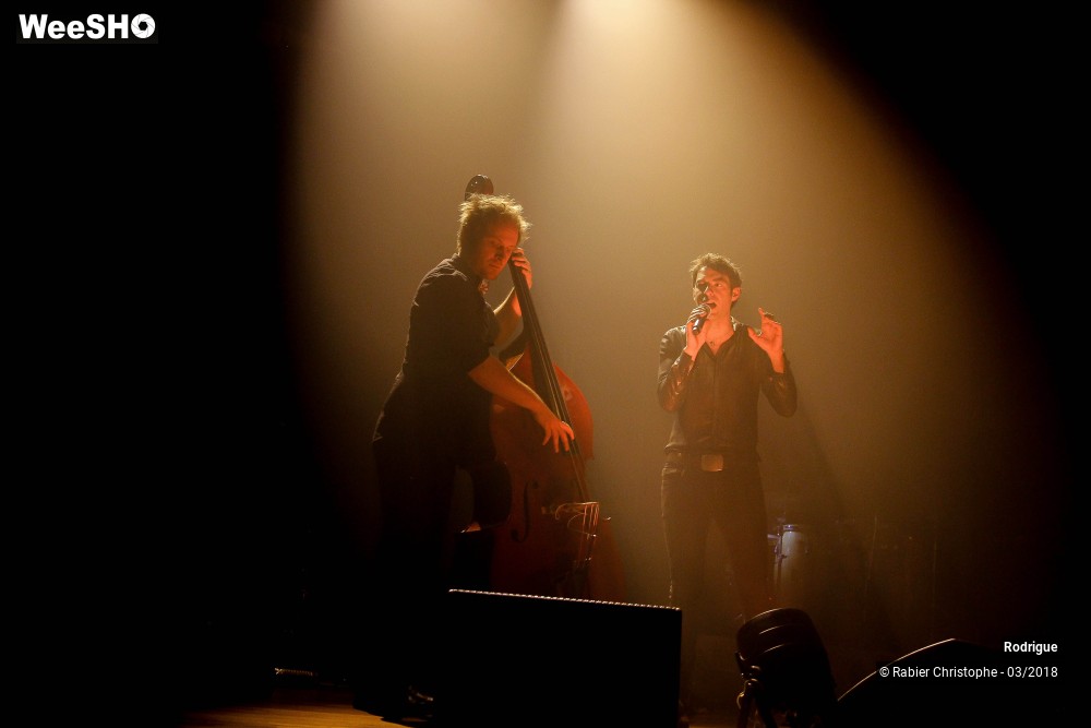 29/39 photos du spectacle Rodrigue