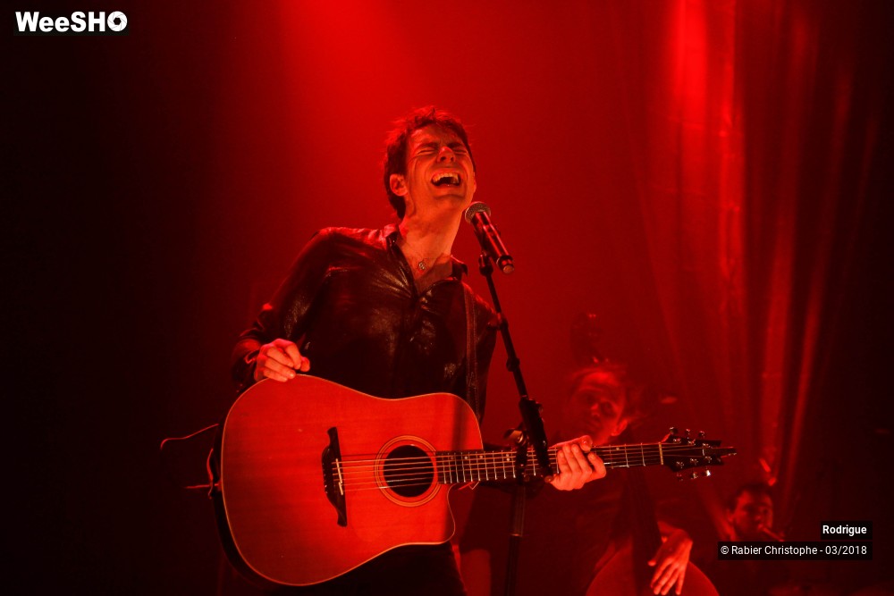 30/39 photos du spectacle Rodrigue