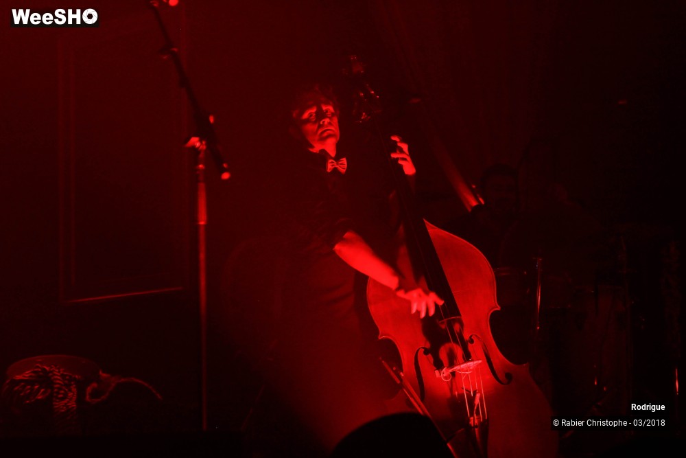 39/39 photos du spectacle Rodrigue