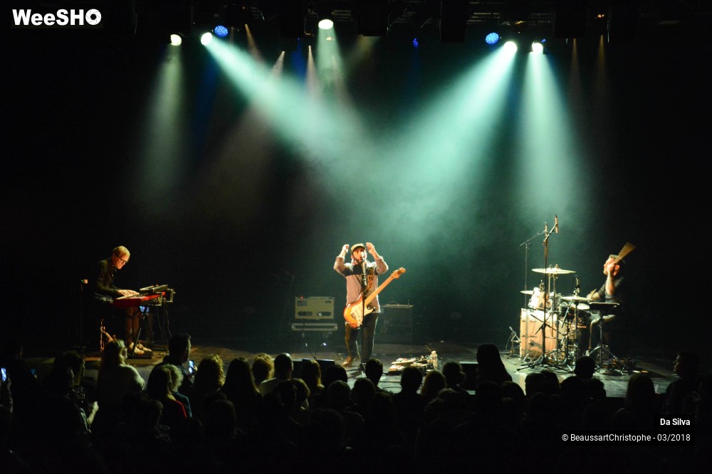 35/39 photos du spectacle Da Silva