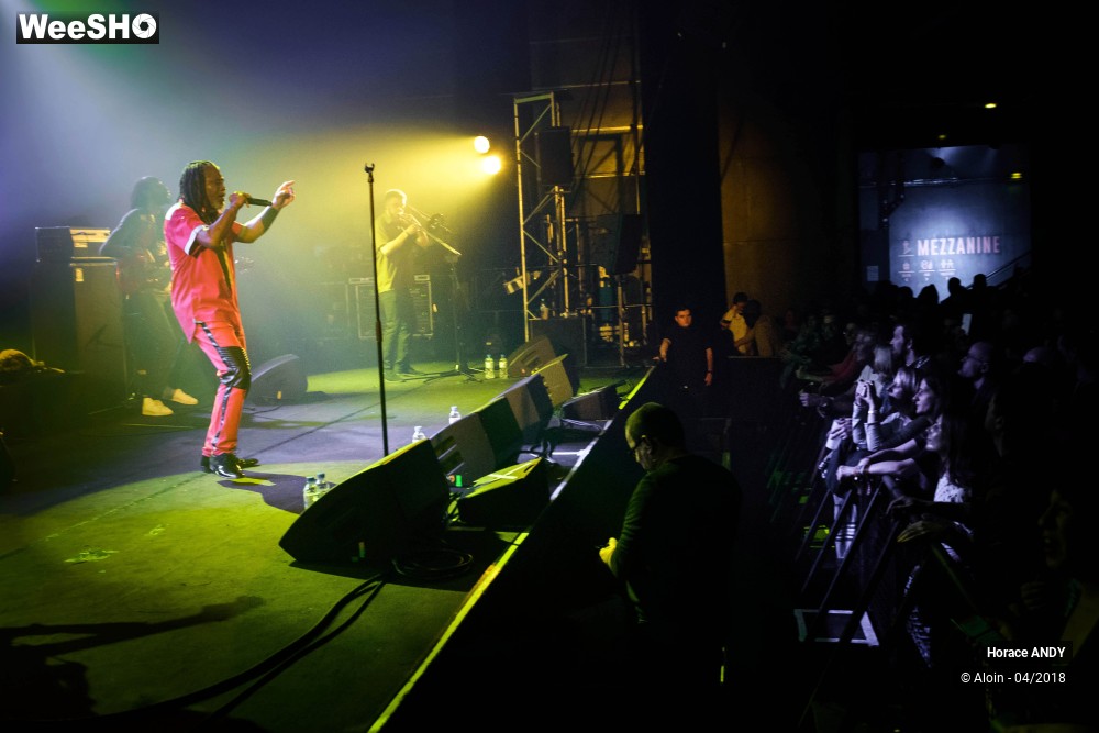 11/15 photos du spectacle Horace ANDY