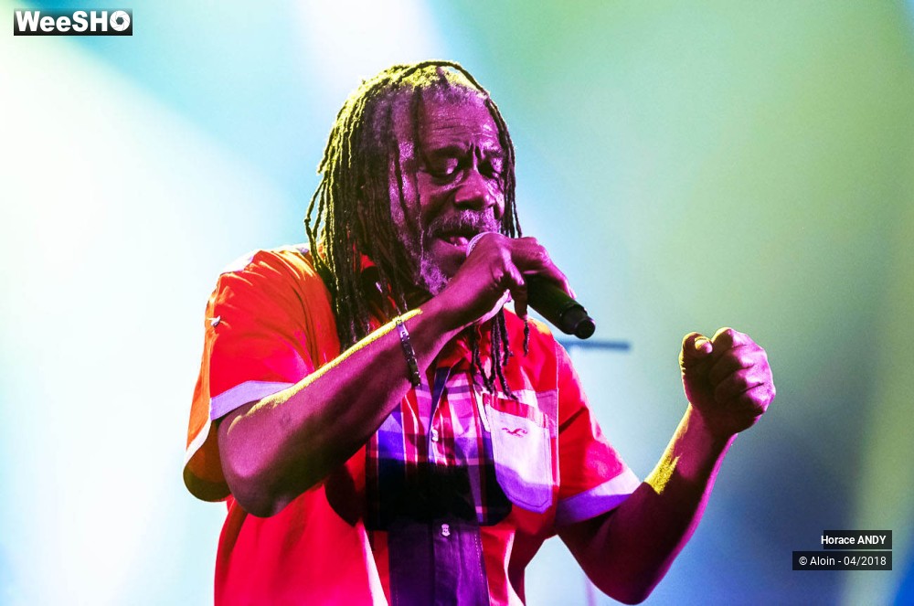 12/15 photos du spectacle Horace ANDY