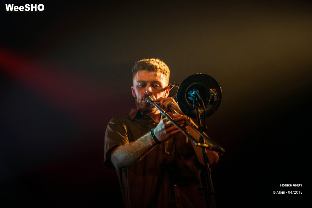 14/15 photos du spectacle Horace ANDY