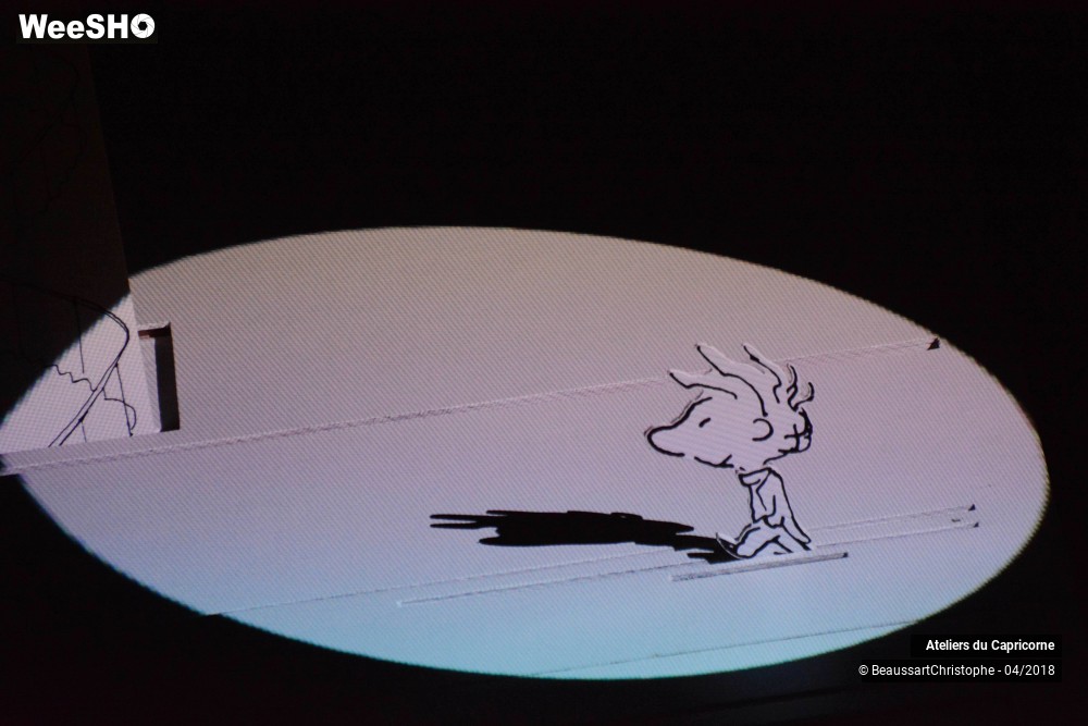 10/32 photos du spectacle Marcellin Caillou