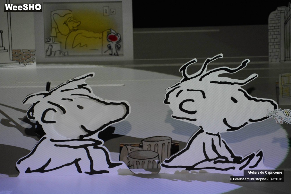 12/32 photos du spectacle Marcellin Caillou