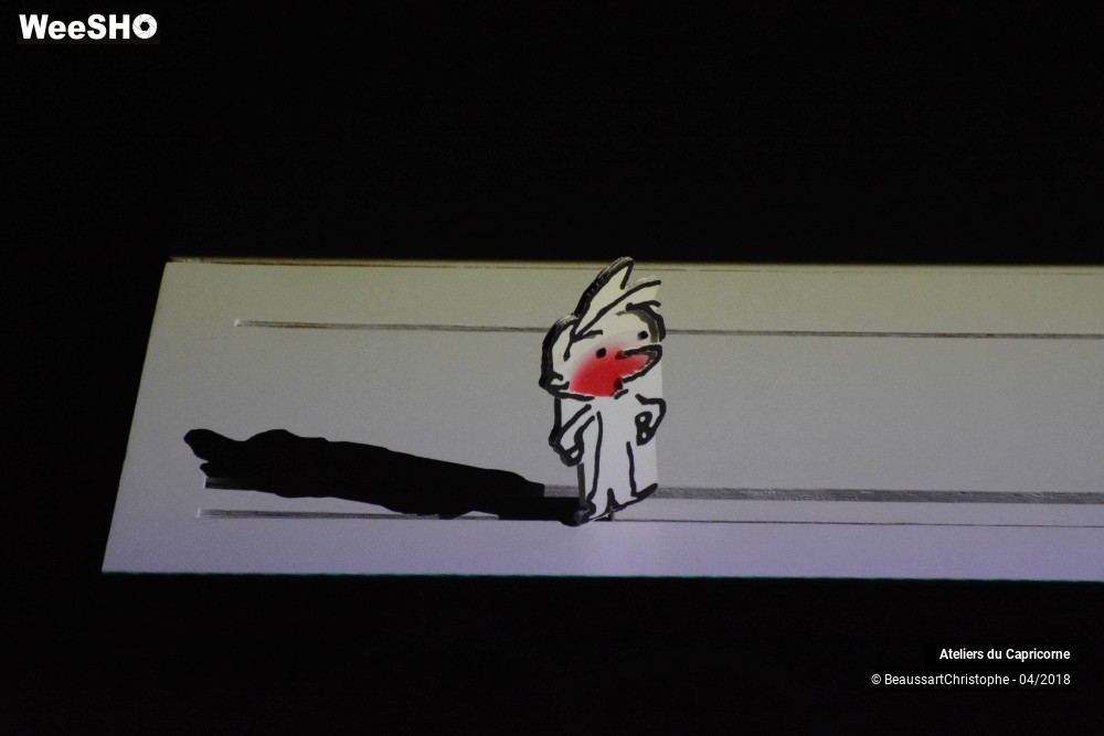 19/32 photos du spectacle Marcellin Caillou