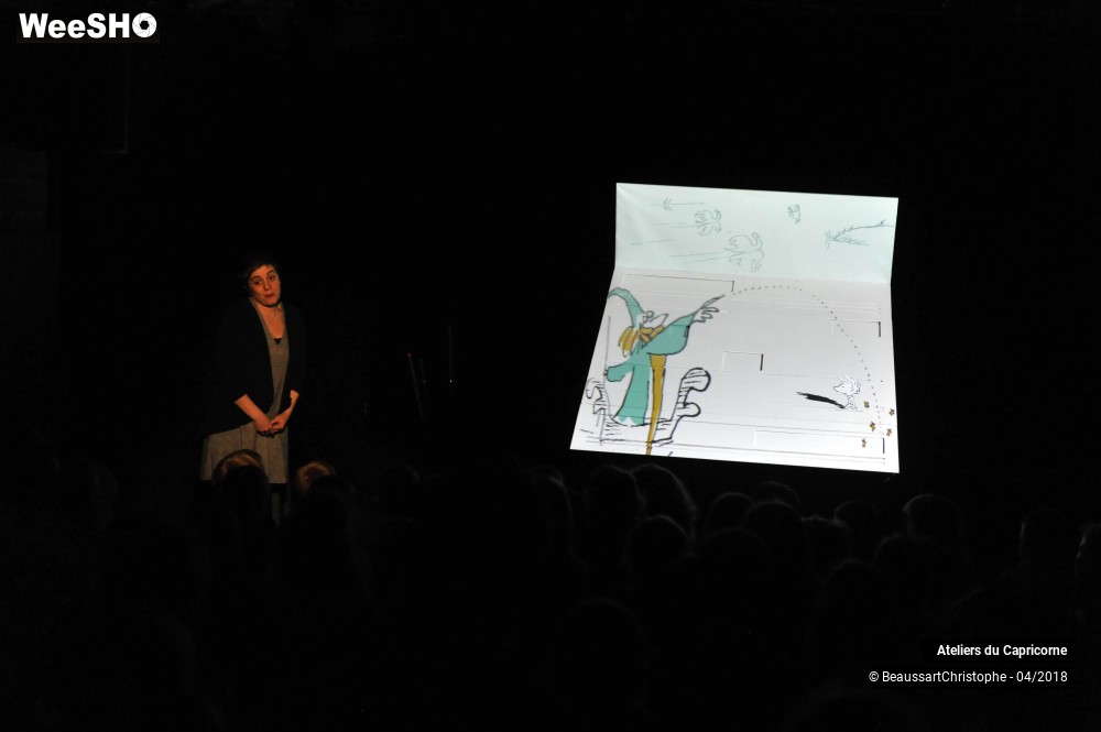 20/32 photos du spectacle Marcellin Caillou