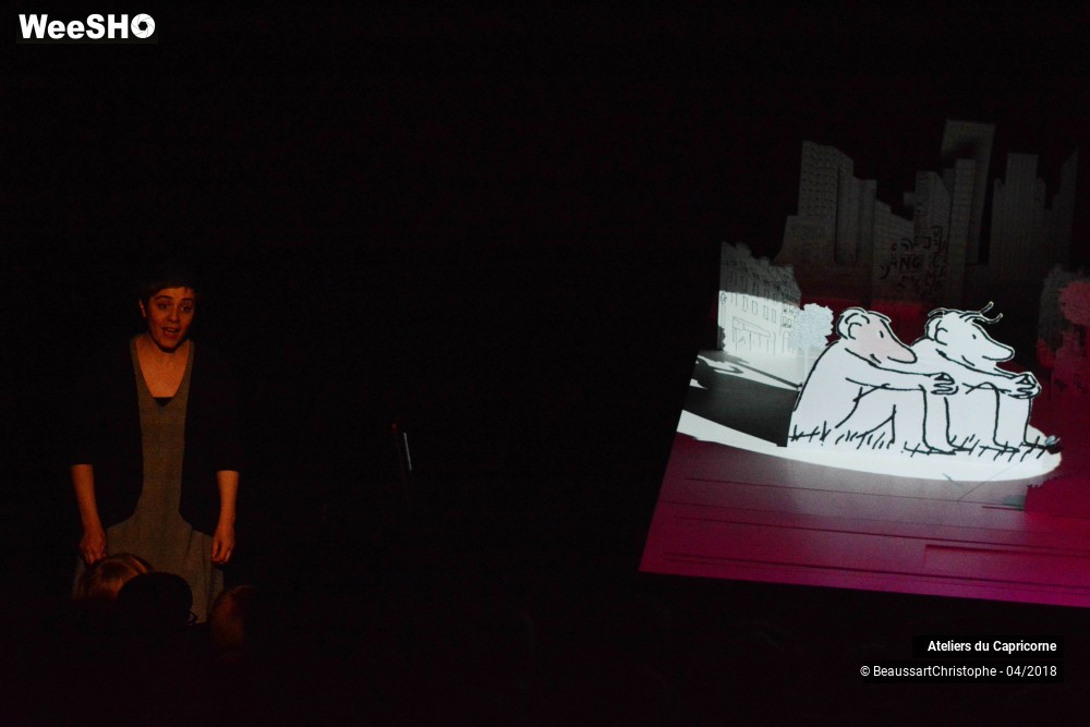 26/32 photos du spectacle Marcellin Caillou