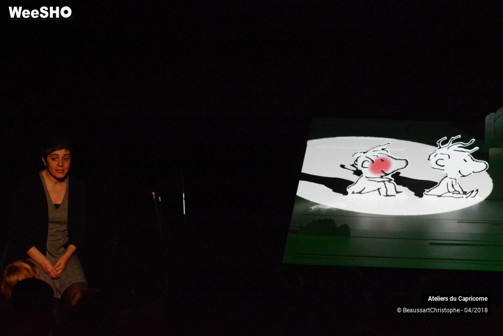 30/32 photos du spectacle Marcellin Caillou