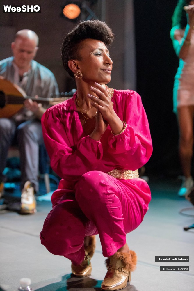 2/28 photos du spectacle Alsarah and the Nubatones