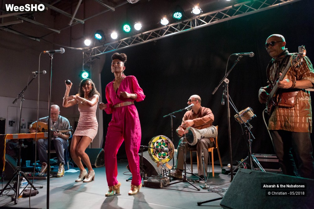 10/28 photos du spectacle Alsarah and the Nubatones