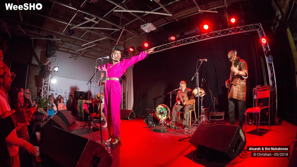 12/28 photos du spectacle Alsarah and the Nubatones
