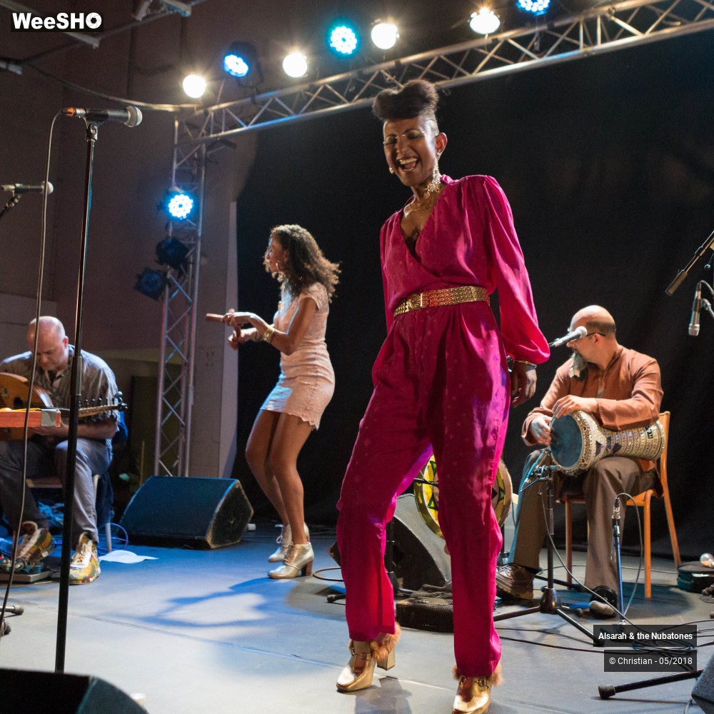 13/28 photos du spectacle Alsarah and the Nubatones