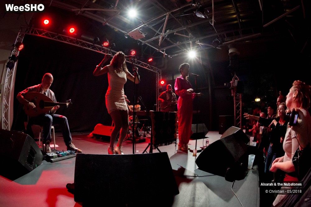 16/28 photos du spectacle Alsarah and the Nubatones