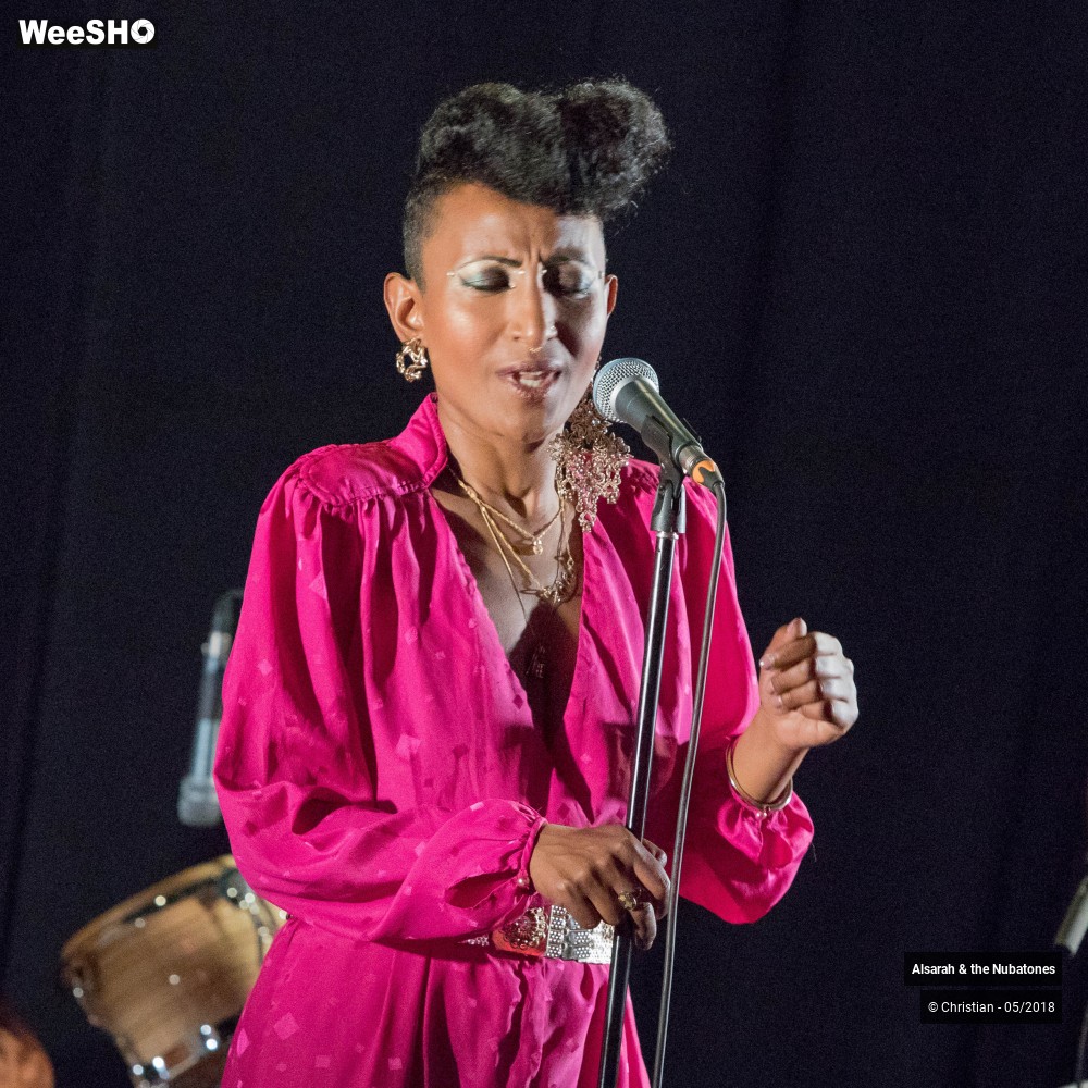 17/28 photos du spectacle Alsarah and the Nubatones
