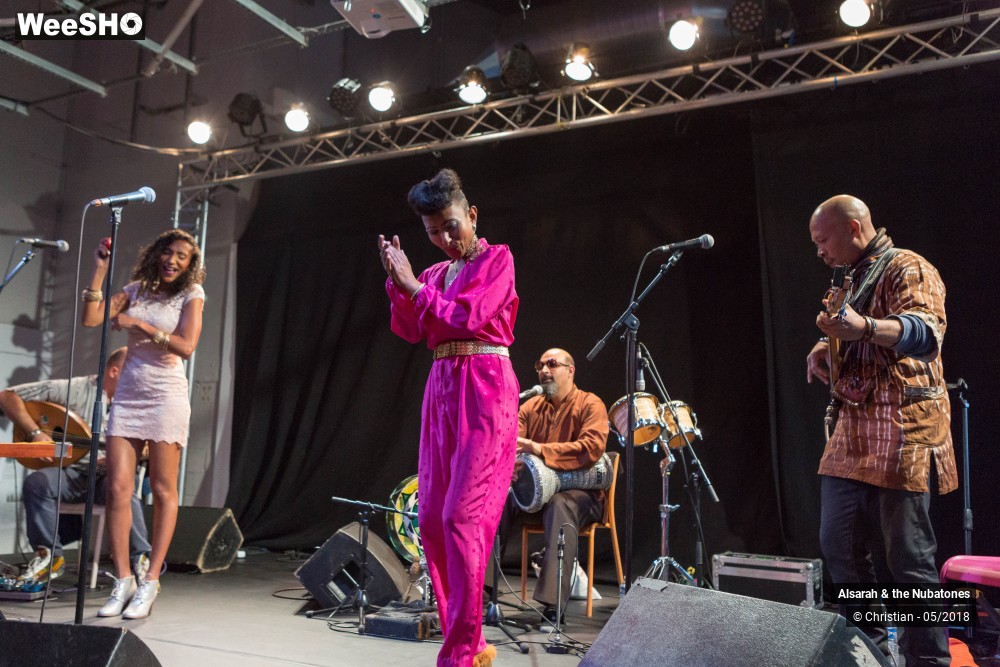 18/28 photos du spectacle Alsarah and the Nubatones