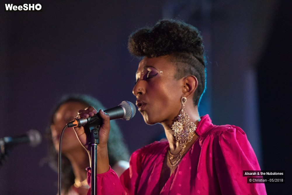 19/28 photos du spectacle Alsarah and the Nubatones