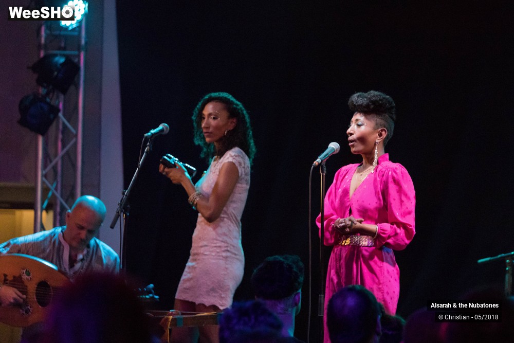 20/28 photos du spectacle Alsarah and the Nubatones