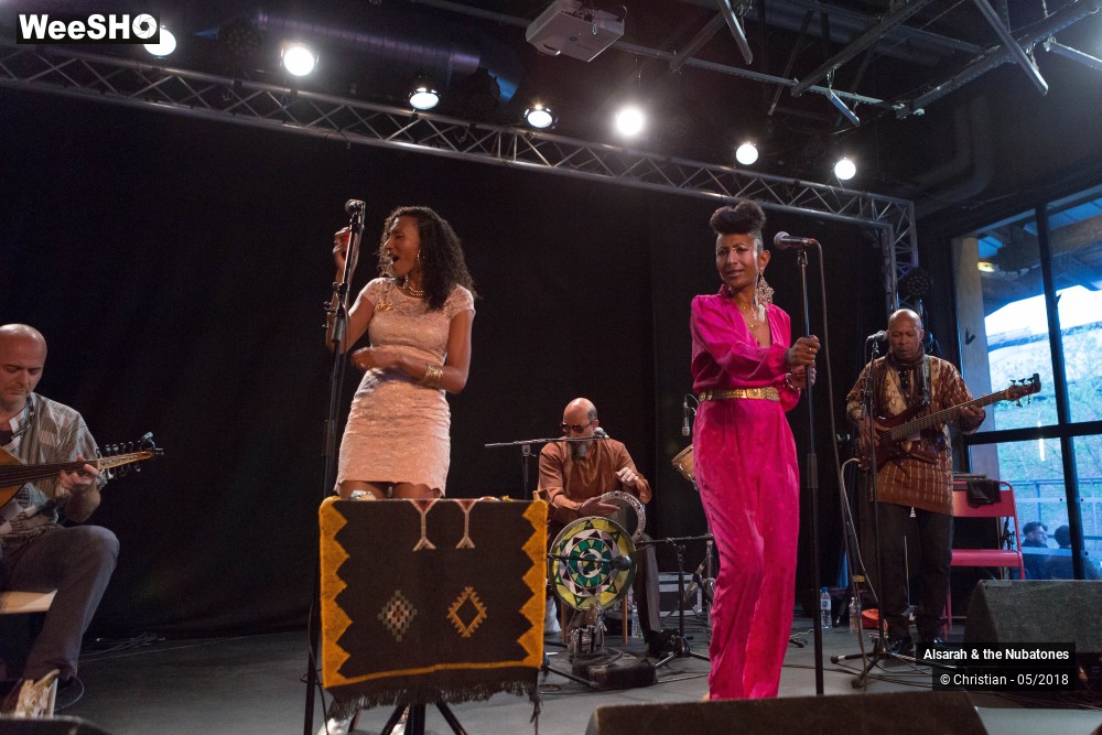 21/28 photos du spectacle Alsarah and the Nubatones
